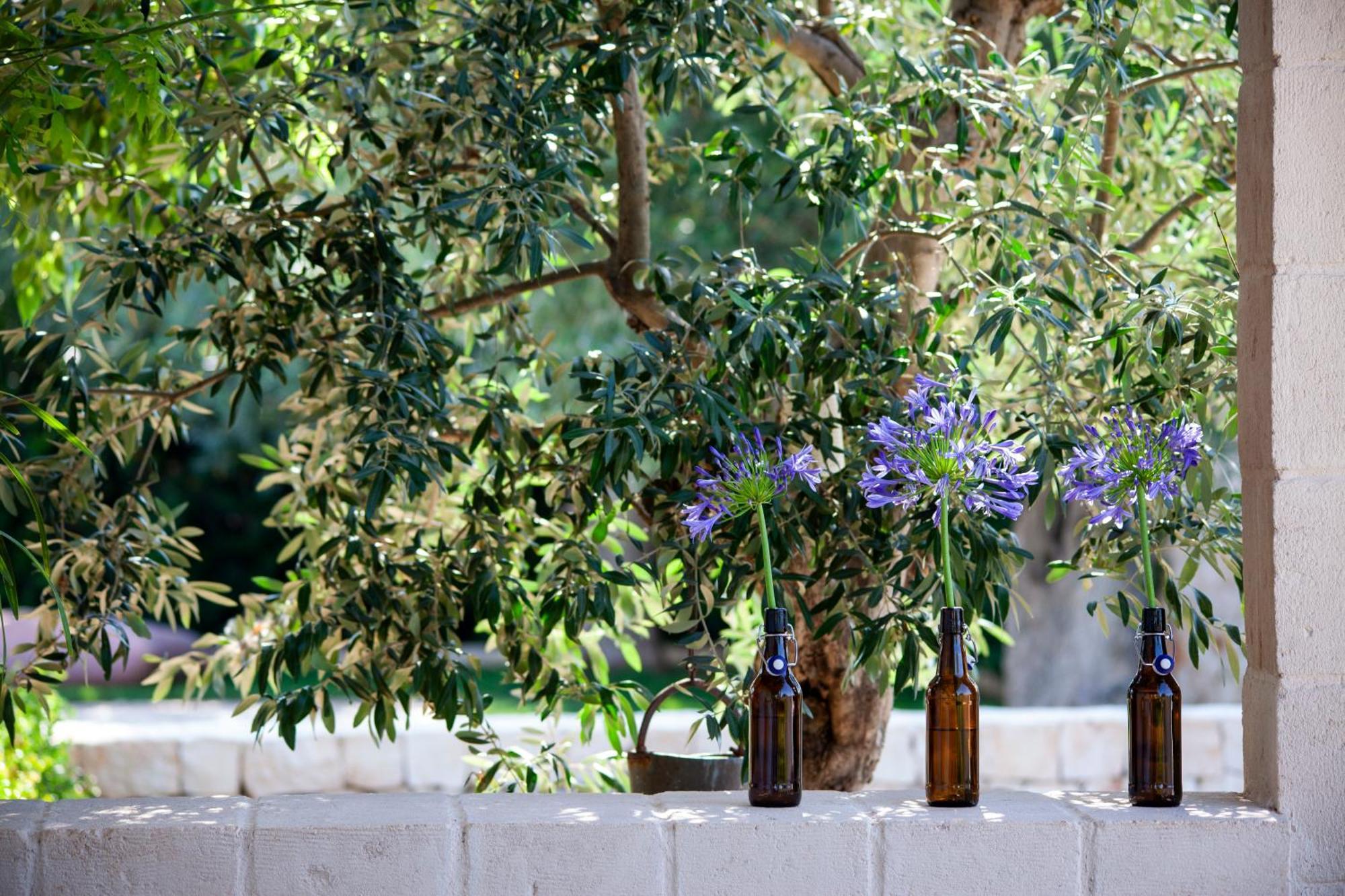 Gasthaus Casa Mia In Puglia Conversano Exterior foto